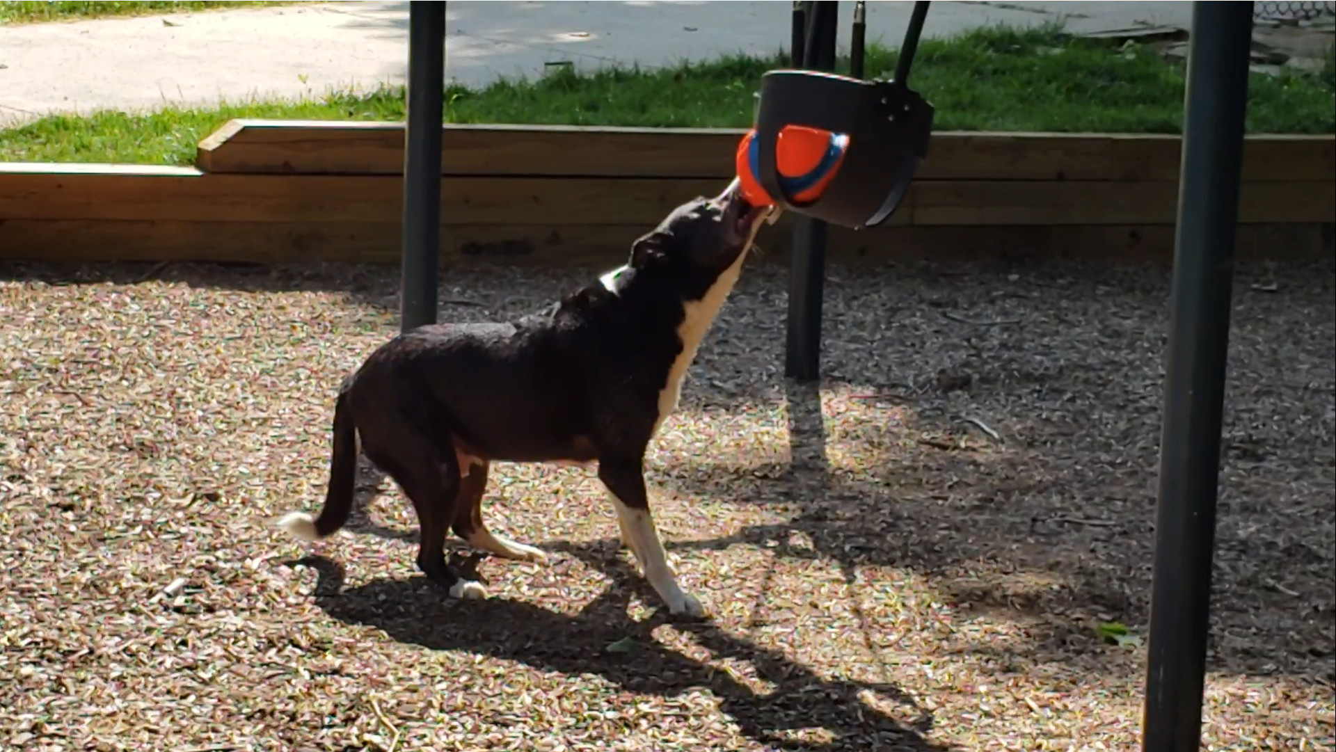 Fighting the swing for the ball